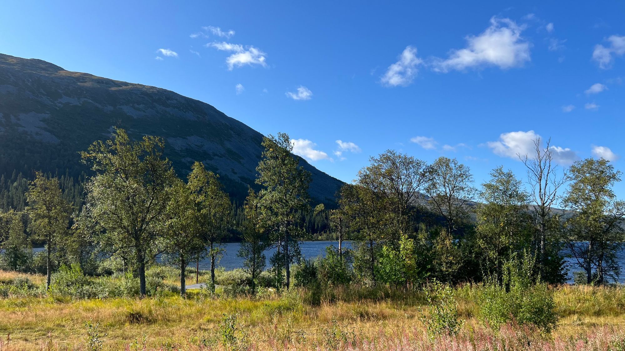 Semesterboende i vackra Bydalen – bild 24 av 24