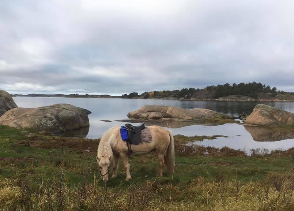 Stuga i Tanumshede med 2 + 2 bäddar #39797 – bild 8 av 10