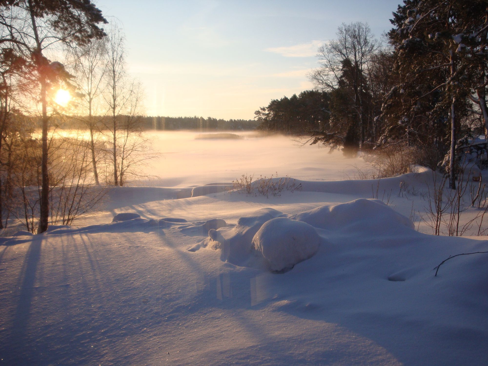 Stuga vid havet uthyres! – bild 14 av 16