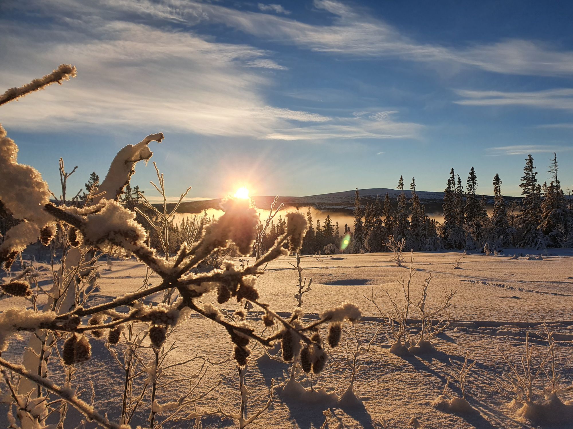 Liten stuga uthyres i Edsåsdalen, Åre – bild 3 av 9