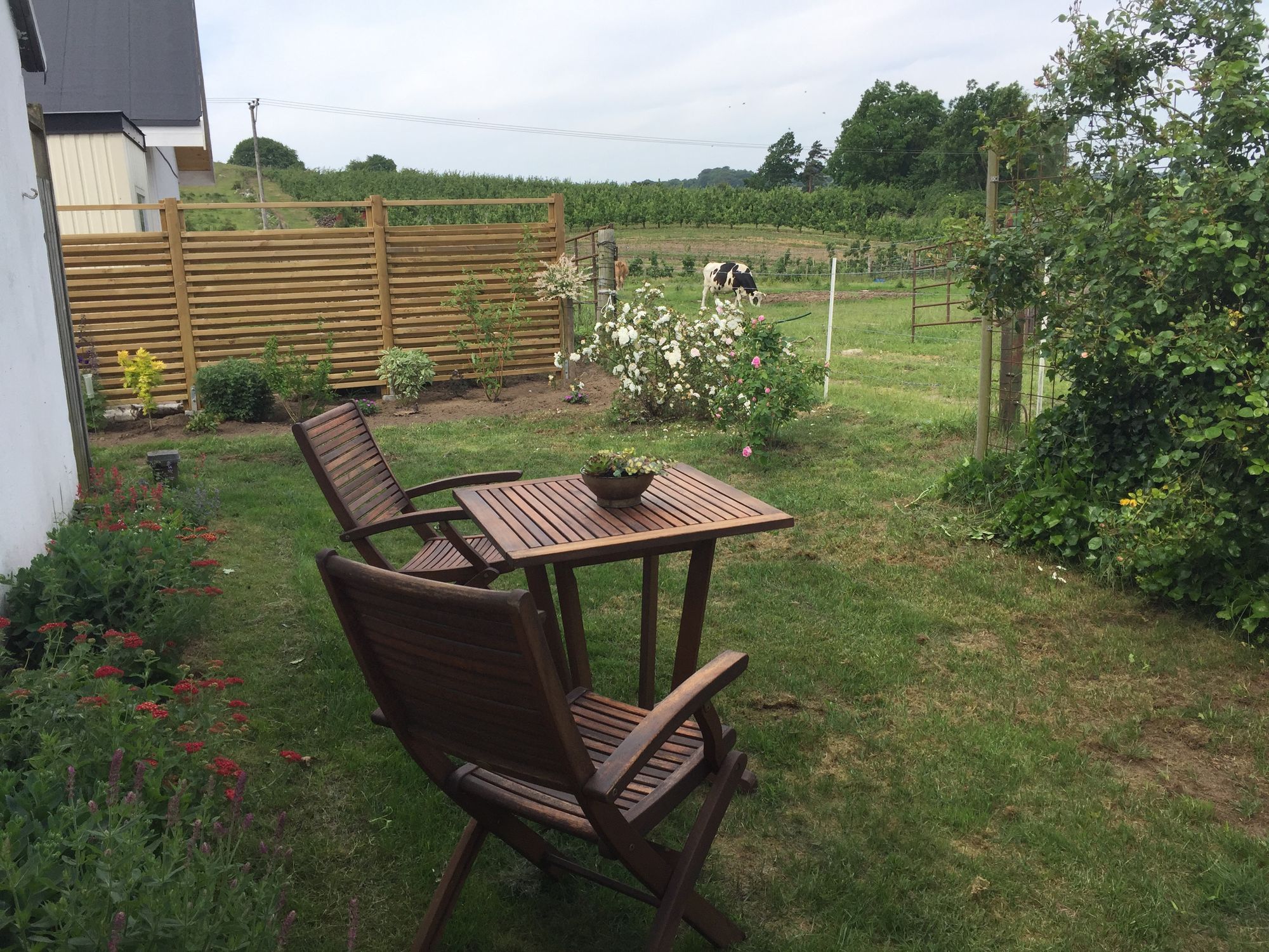 Litet hus vid fruktodling och hage. – bild 2 av 7