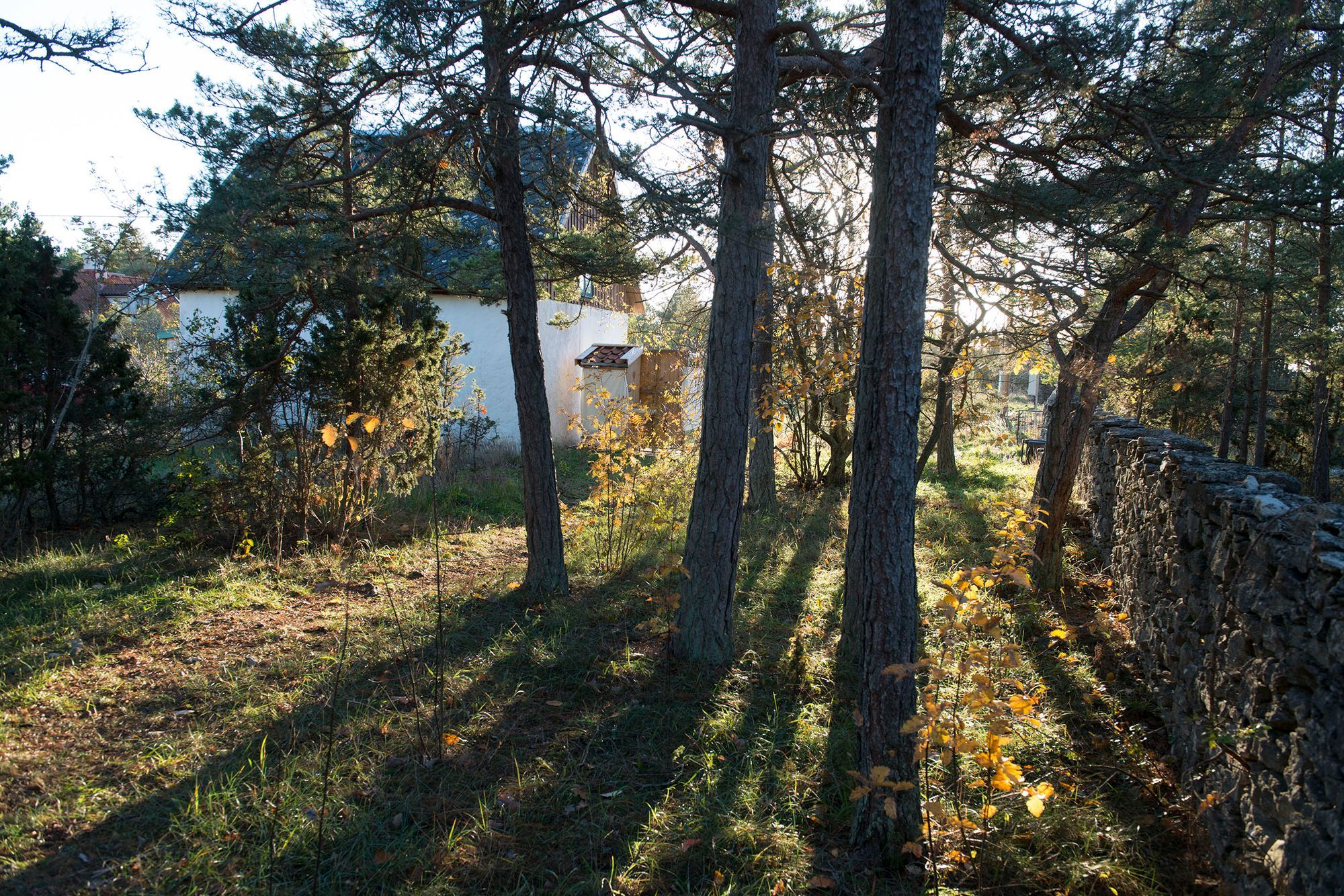 Genuint kalkstenshus på Fårö – bild 8 av 11