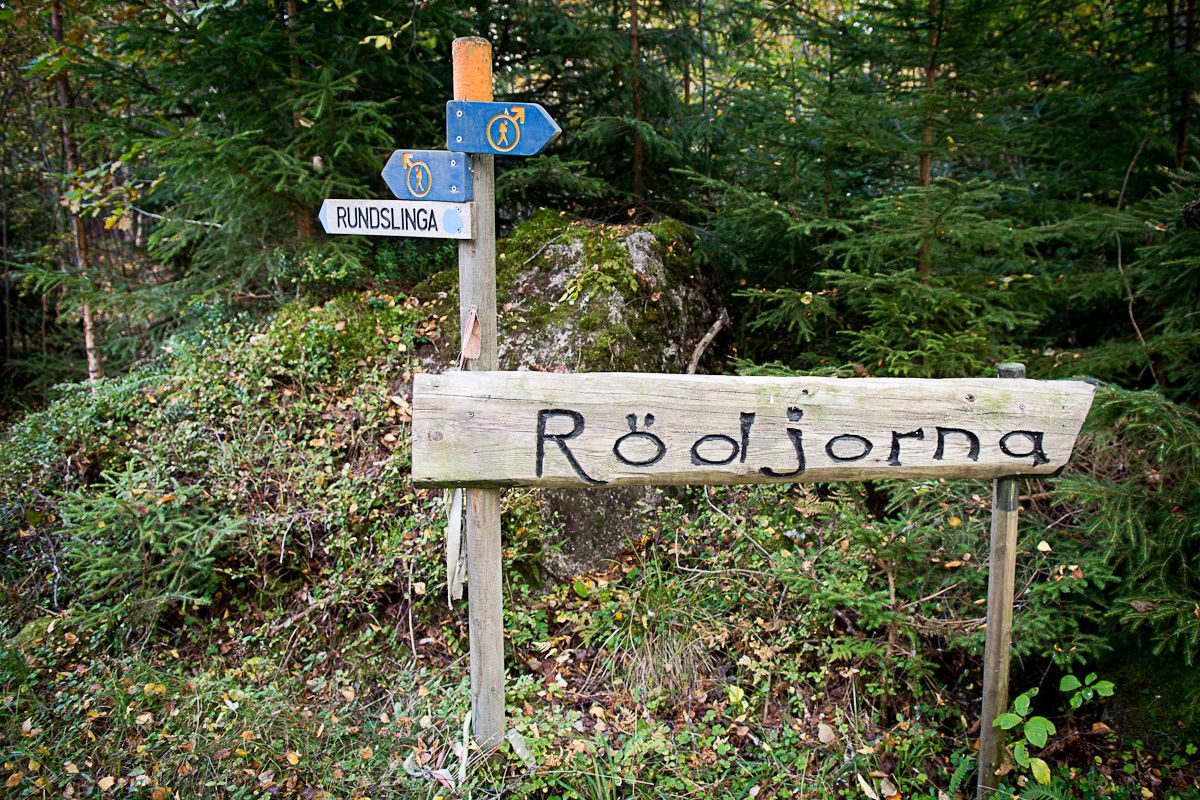 Lilla Rödjorna nära Tivedens National Park – bild 13 av 23