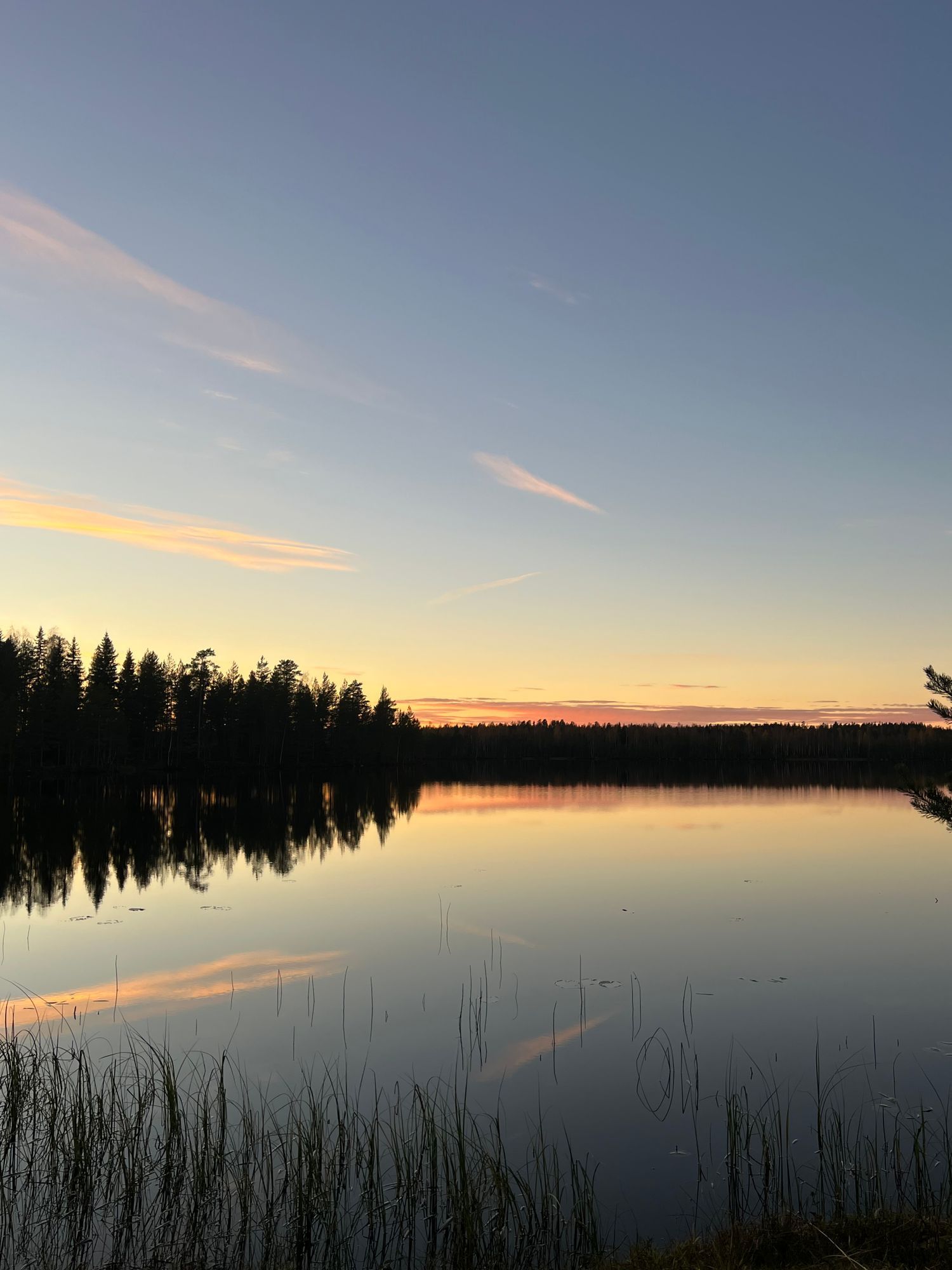 Mysig stuga i skogen nära fiske och natur! – bild 14 av 14