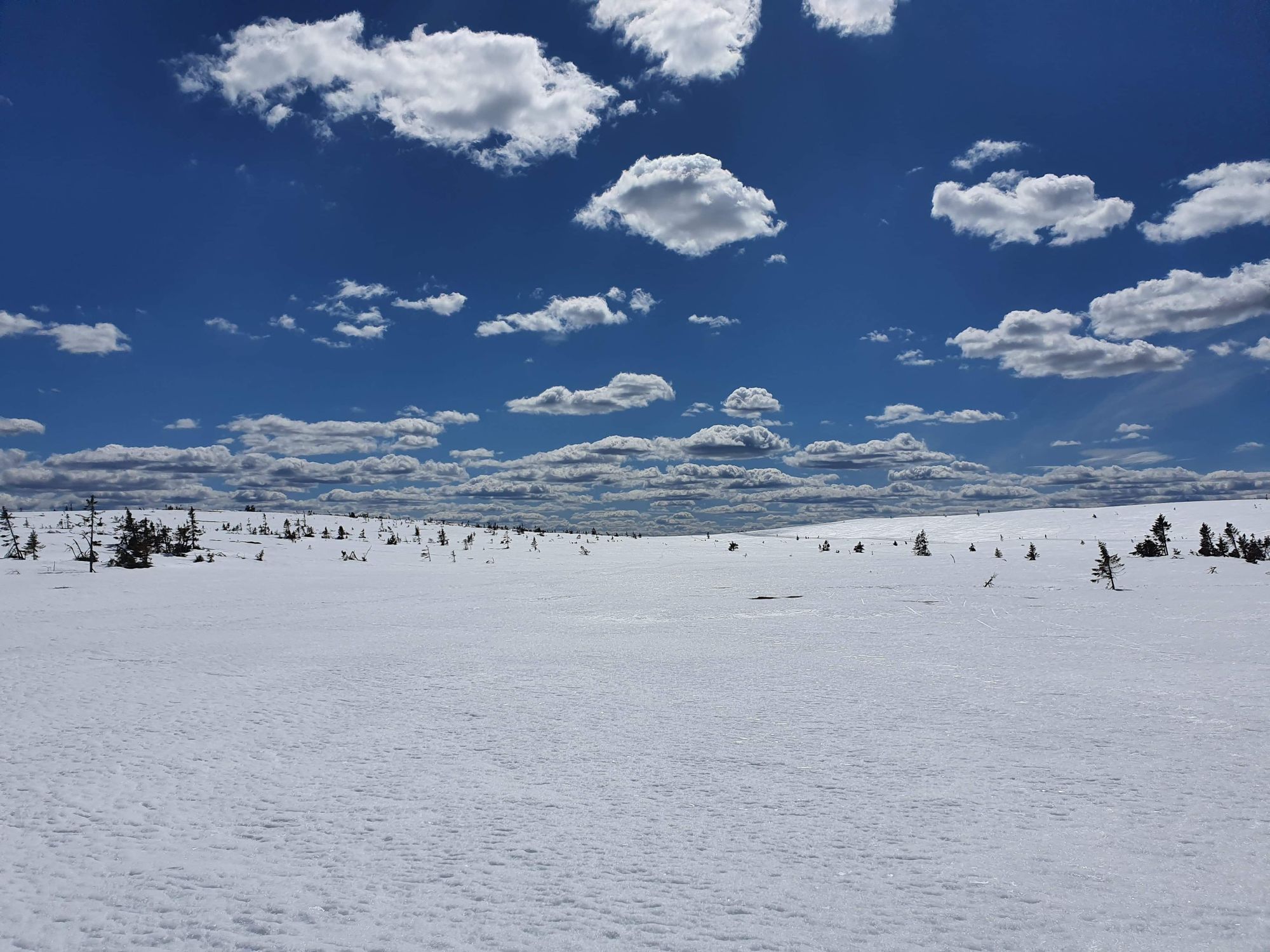 Hemtrevlig stuga på Högfjället med ski in/ski out – bild 22 av 24