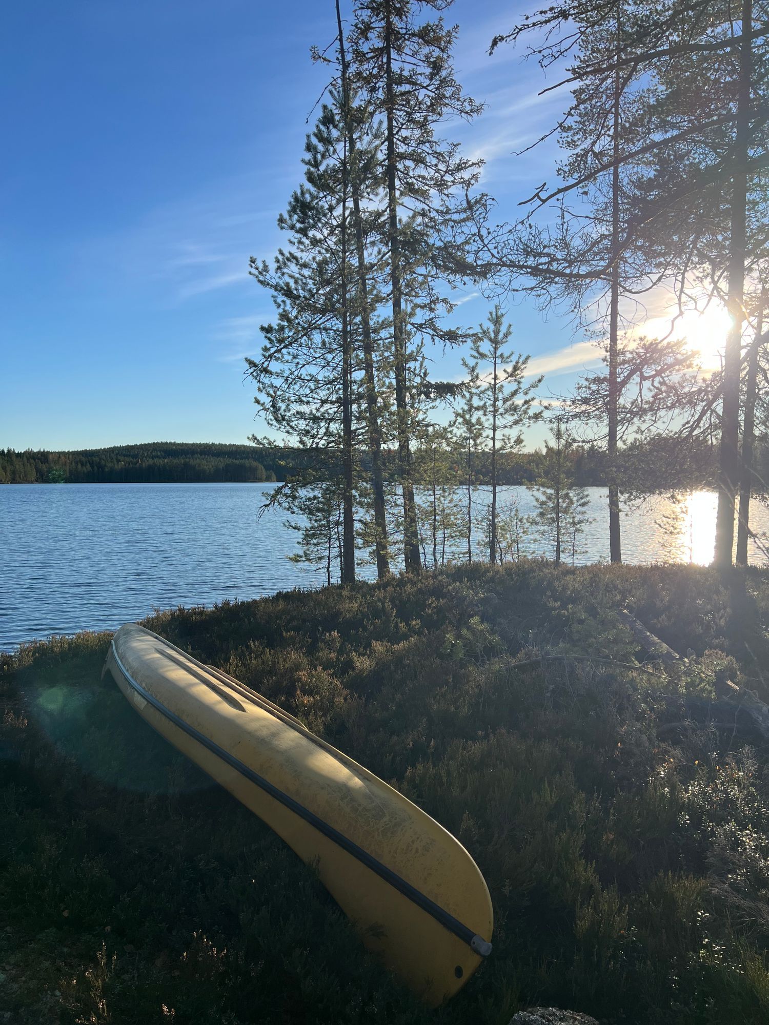 Mysig stuga i skogen nära fiske och natur! – bild 12 av 14