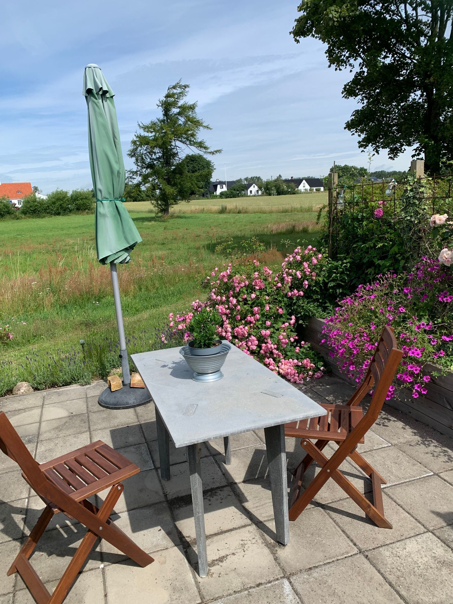 Österlen  skånelänga vid havet – bild 10 av 11