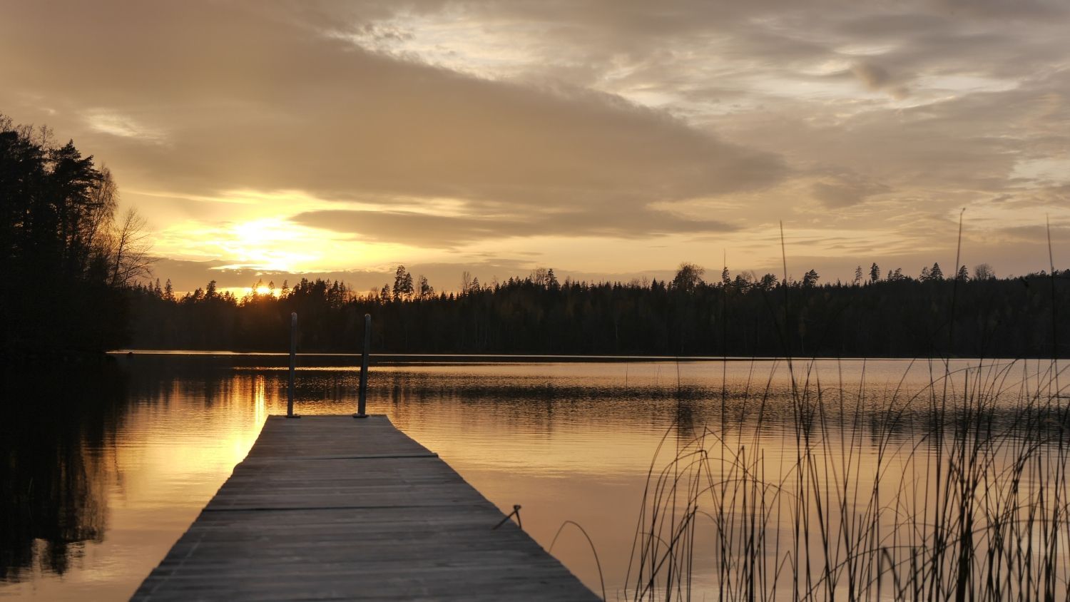 Ett litet paradis 27 km från Kolmårdens djurpark – bild 21 av 24