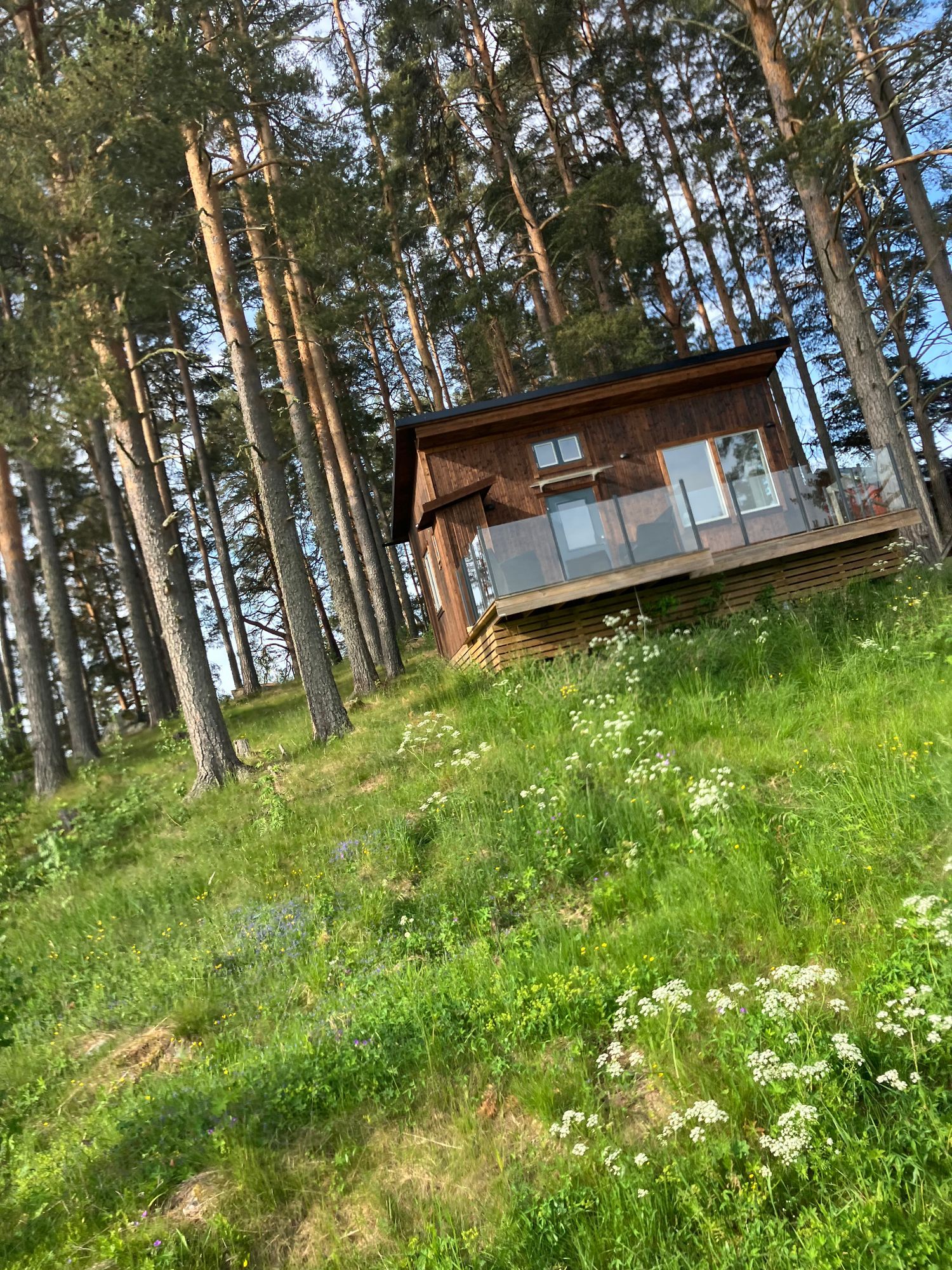 Attefallaren – bild 5 av 7