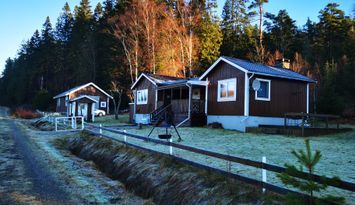 Lugn och ro i skogsnära stuga