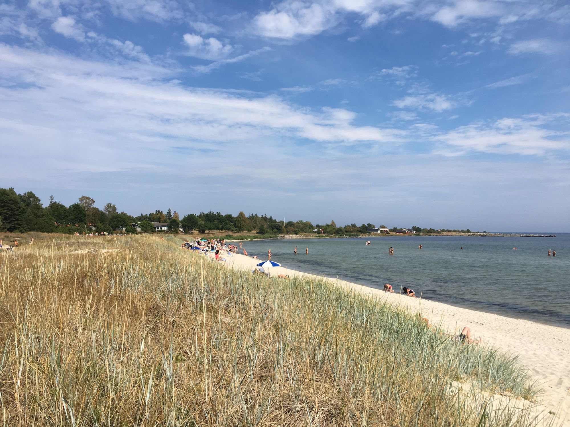 Mysig stuga nära havet i Kesnäs Udde, Norra Öland – bild 16 av 23