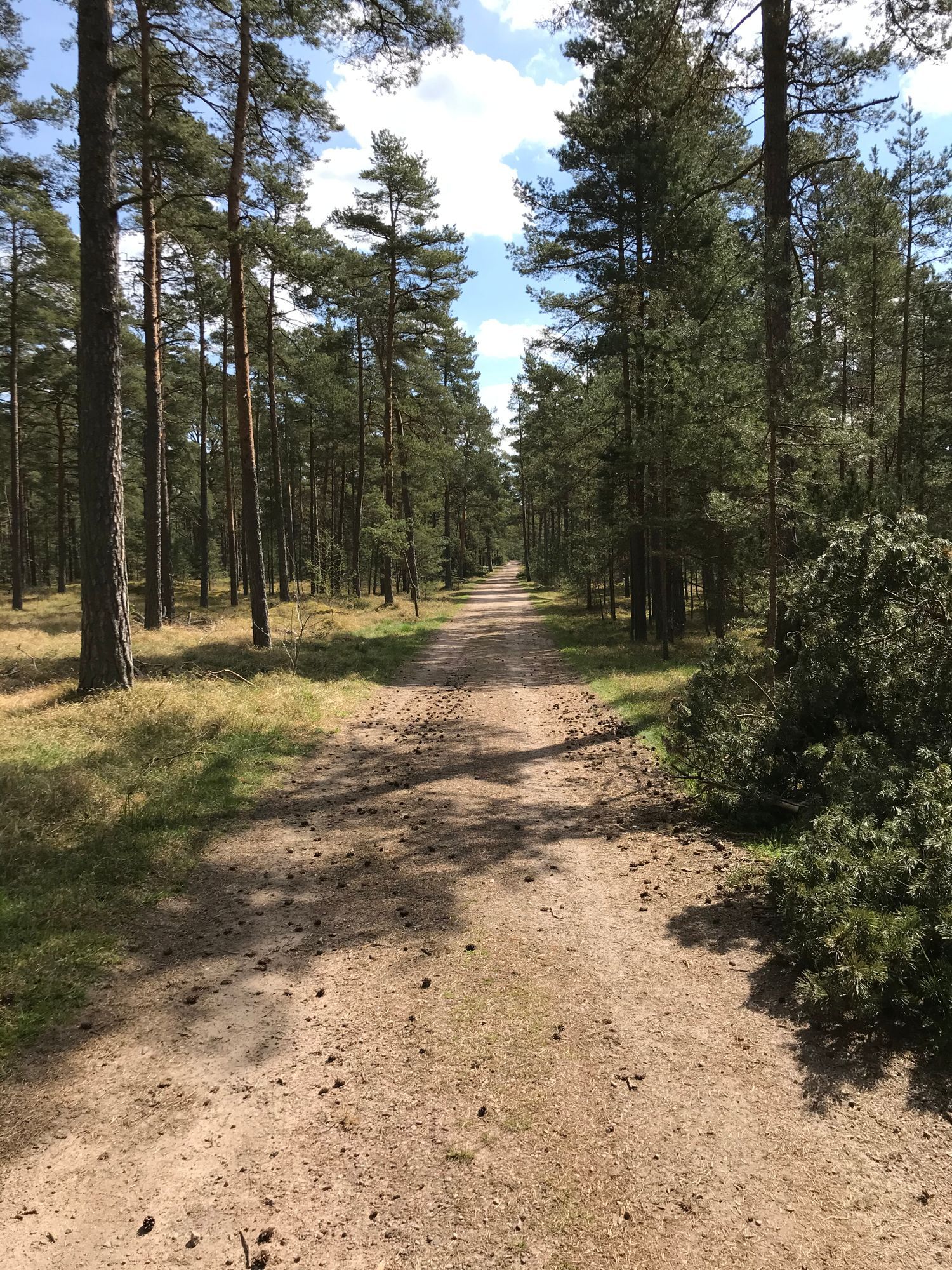 Stuga med havsläge i Furuboda Yngsjö Skåne – bild 6 av 24