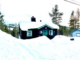 Family-friendly and newly renovated cabin with 7 b