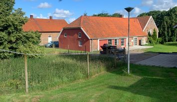 The Egg Farm