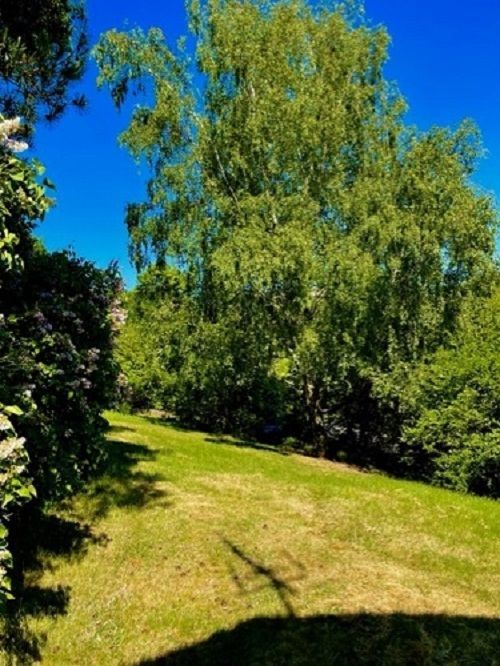 Strandnära stuga på Tjörn – bild 13 av 23
