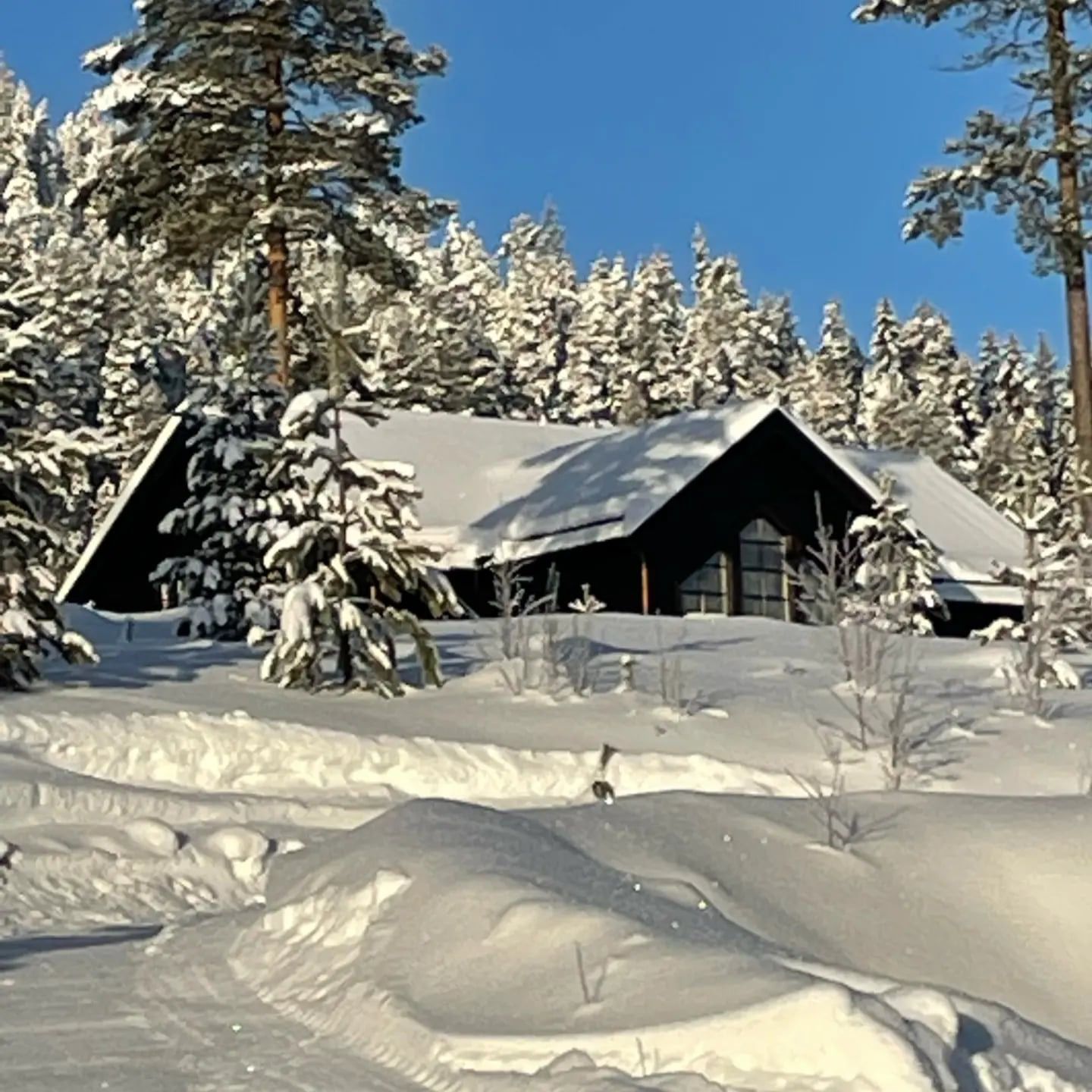 Villa Vemdalen