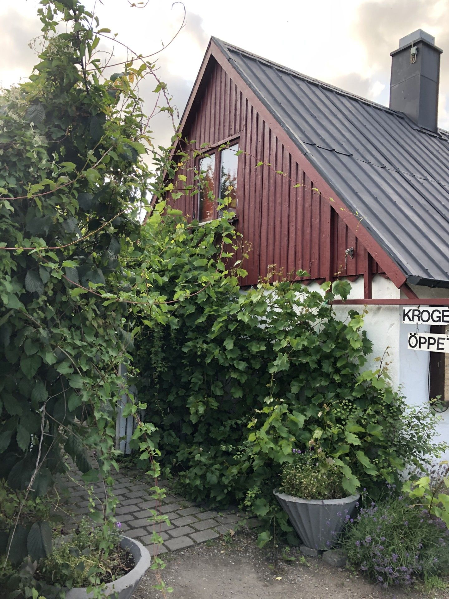 En gårdsdröm invid Sveriges sydligaste spets – bild 23 av 24