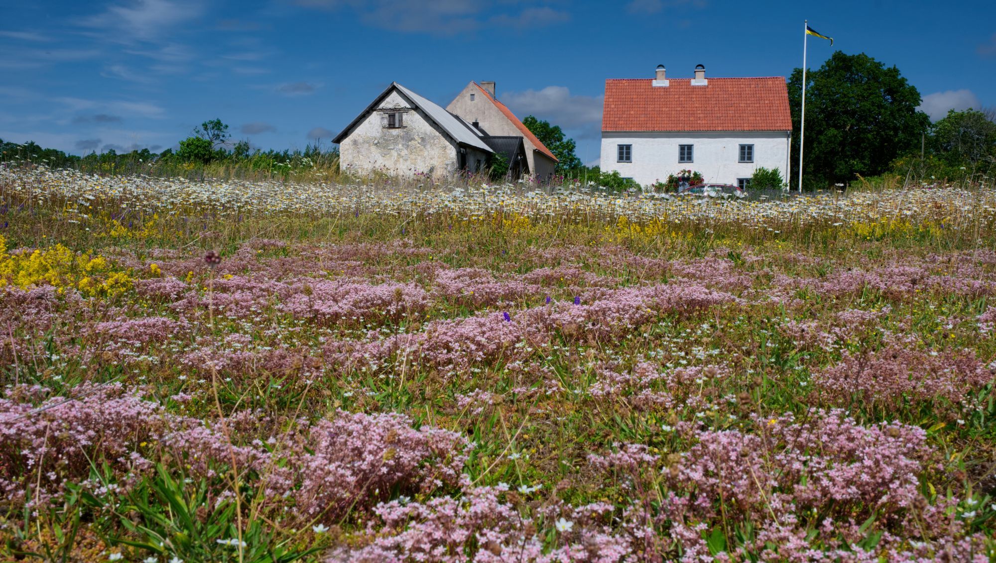 Kalkstenshus på norra Gotland (flygel) – bild 2 av 24