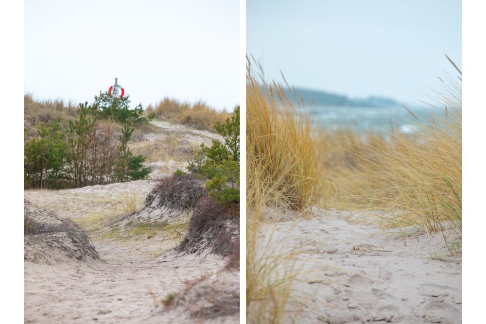 Bästa strand läget på Tofta-strand – bild 7 av 24