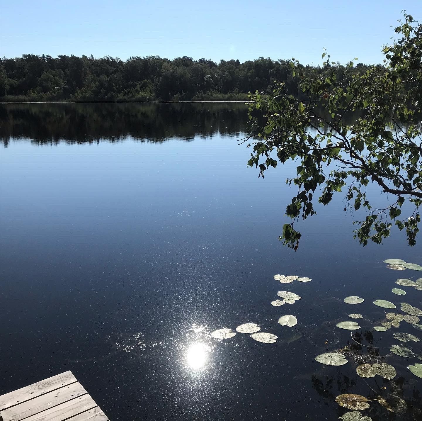 Charmig stuga nära havet – bild 12 av 14