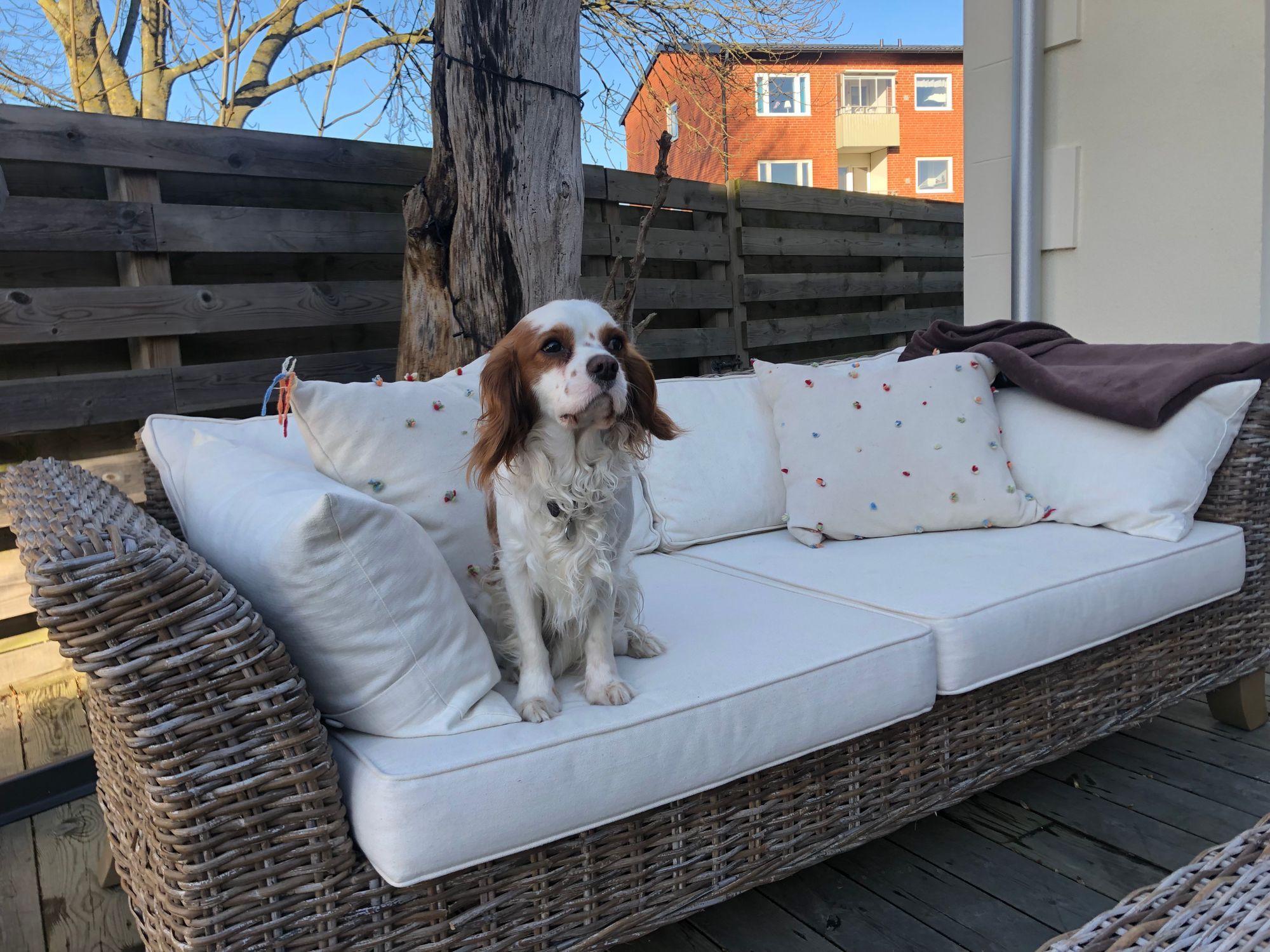 Drömboende med pool i hjärtat av Höganäs! – bild 23 av 24