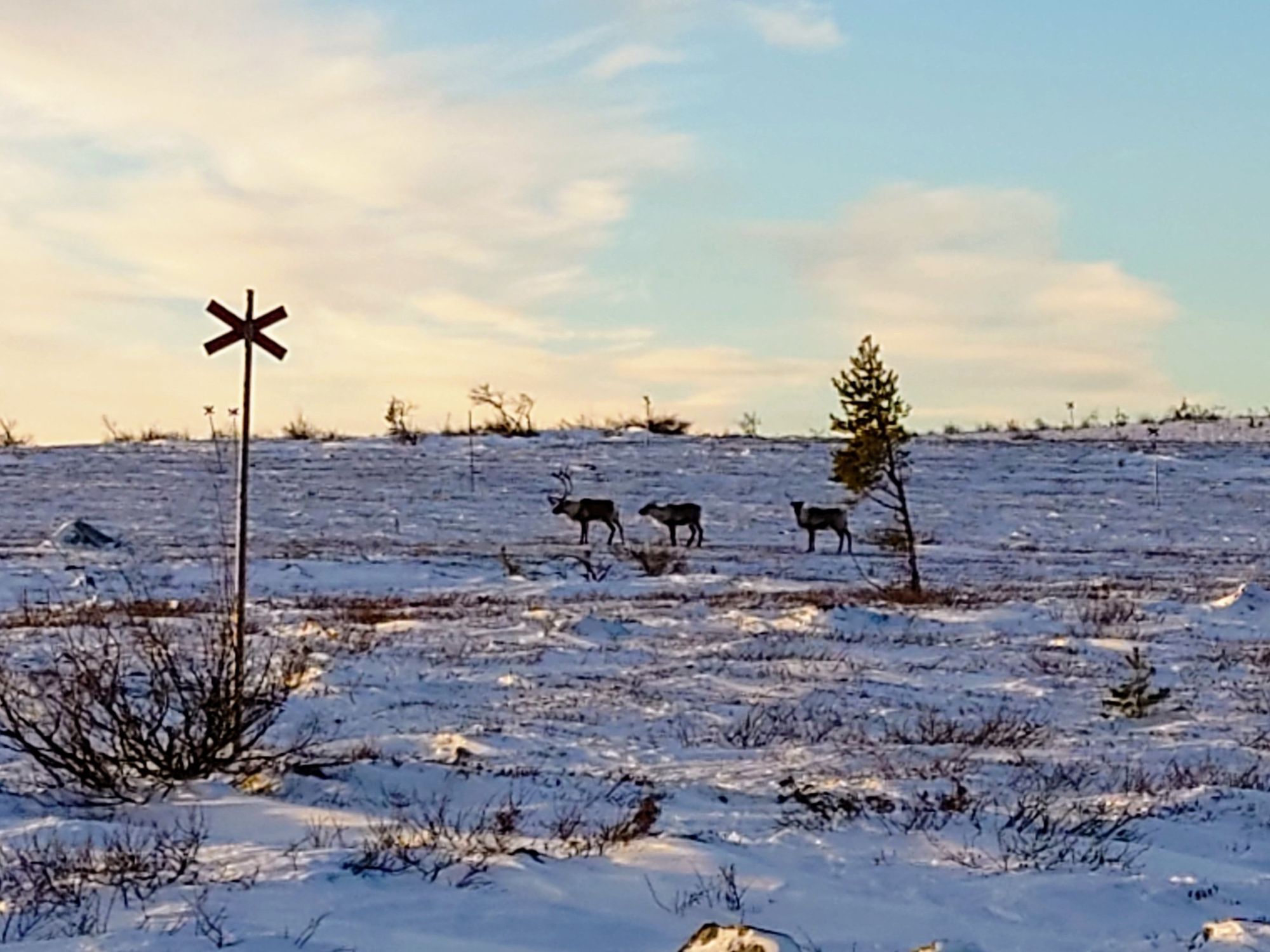 Stuga i Storhogna med 6 bäddar #31634 – bild 24 av 24