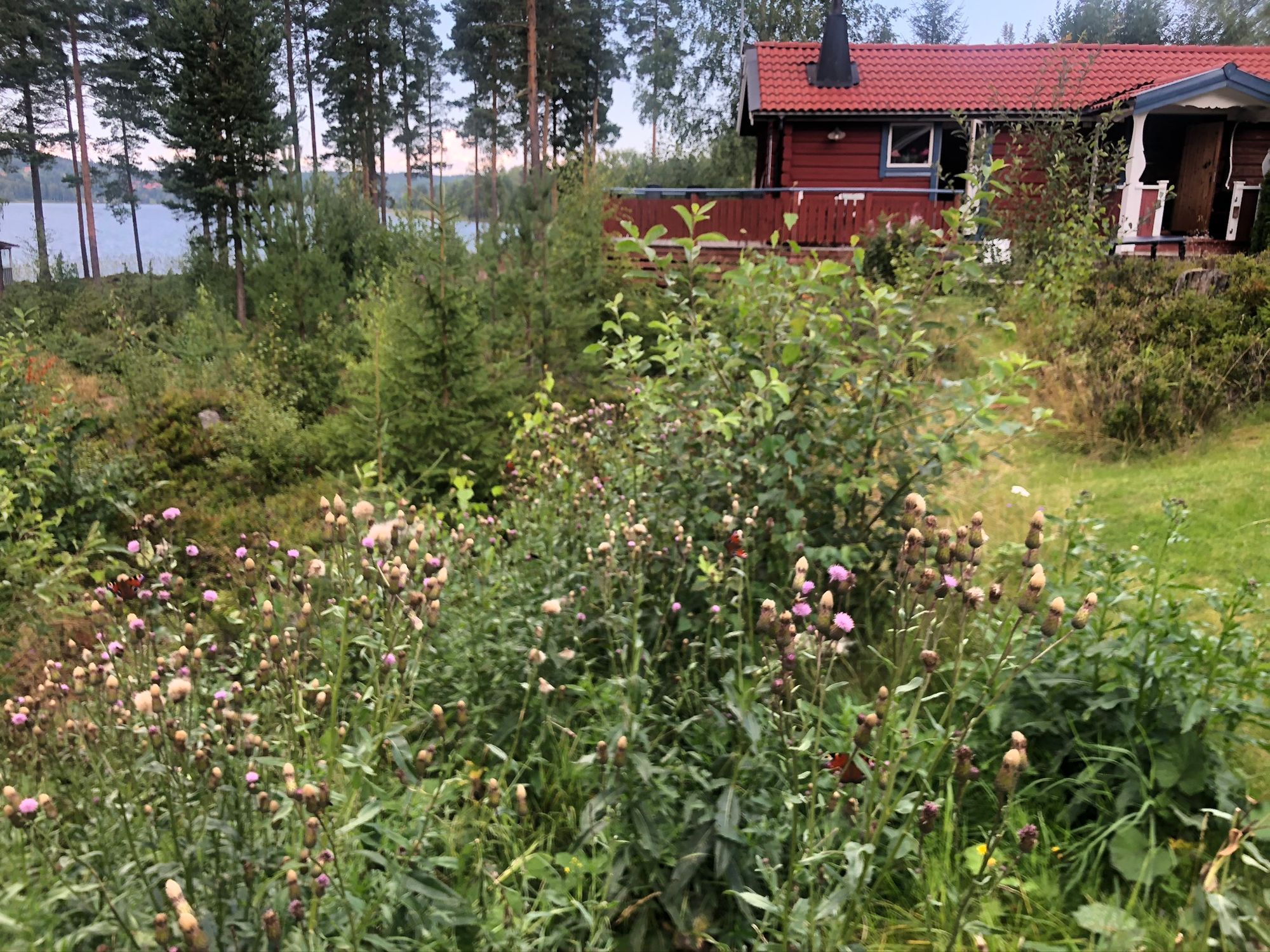 Stuga på strandtomt i Leksand- med roddbåt – bild 17 av 24