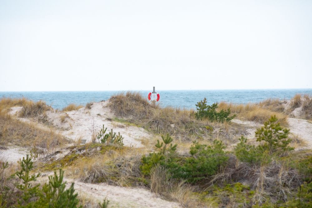 Bästa strand läget på Tofta-strand – bild 23 av 24