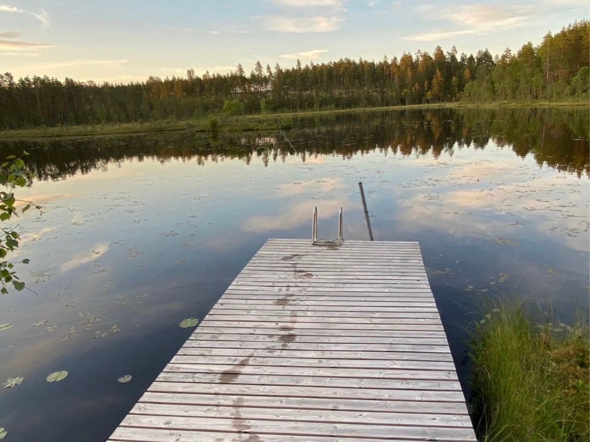 Ombyggt kapell – skogstomt med egen bastu – bild 3 av 14