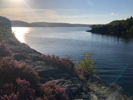 Sommarhus vid lugn havsvik i Bohuslän