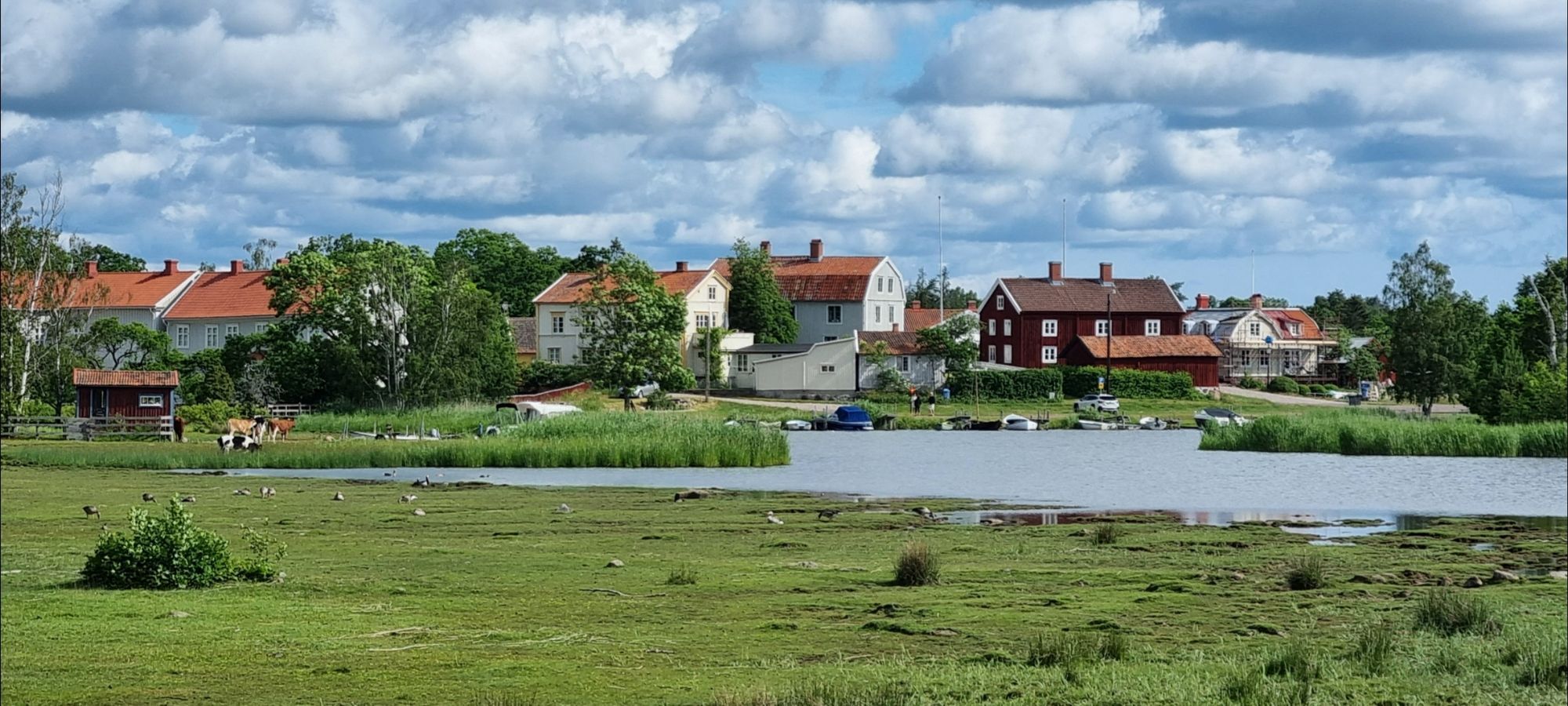 For guestworkers, between Kalmar/Mönsterås – bild 20 av 24