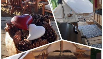 Lyxig tältning i skogen vid strandkanten.