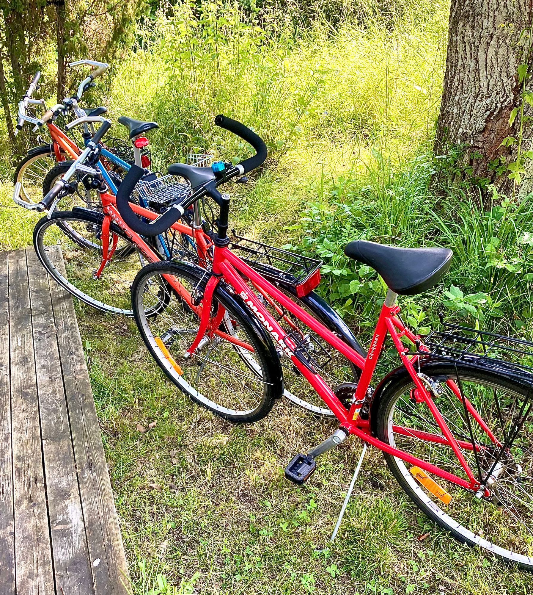 En avskild pärla bland fjärilar och ekar. – bild 19 av 23