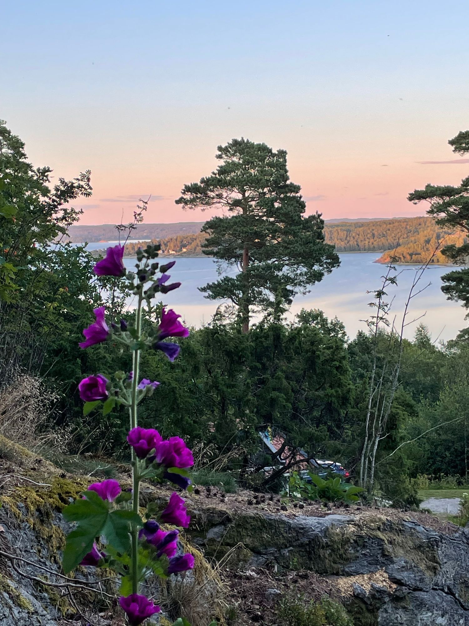 Sommarhus på Orust med fantastisk havsutsikt – bild 4 av 20