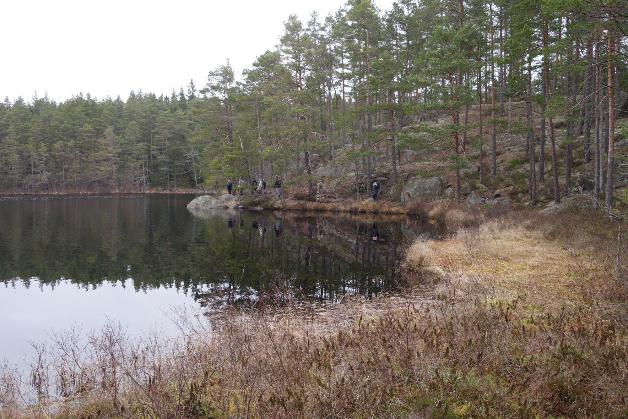 Lilla Rödjorna nära Tivedens National Park – bild 21 av 23