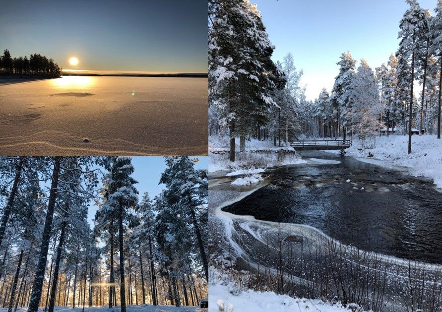 Mysig stuga i Venjan – bild 4 av 24
