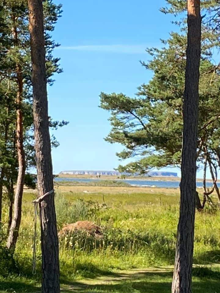 Villa med sjösutsikt, Björkhaga, Gotland – bild 17 av 24