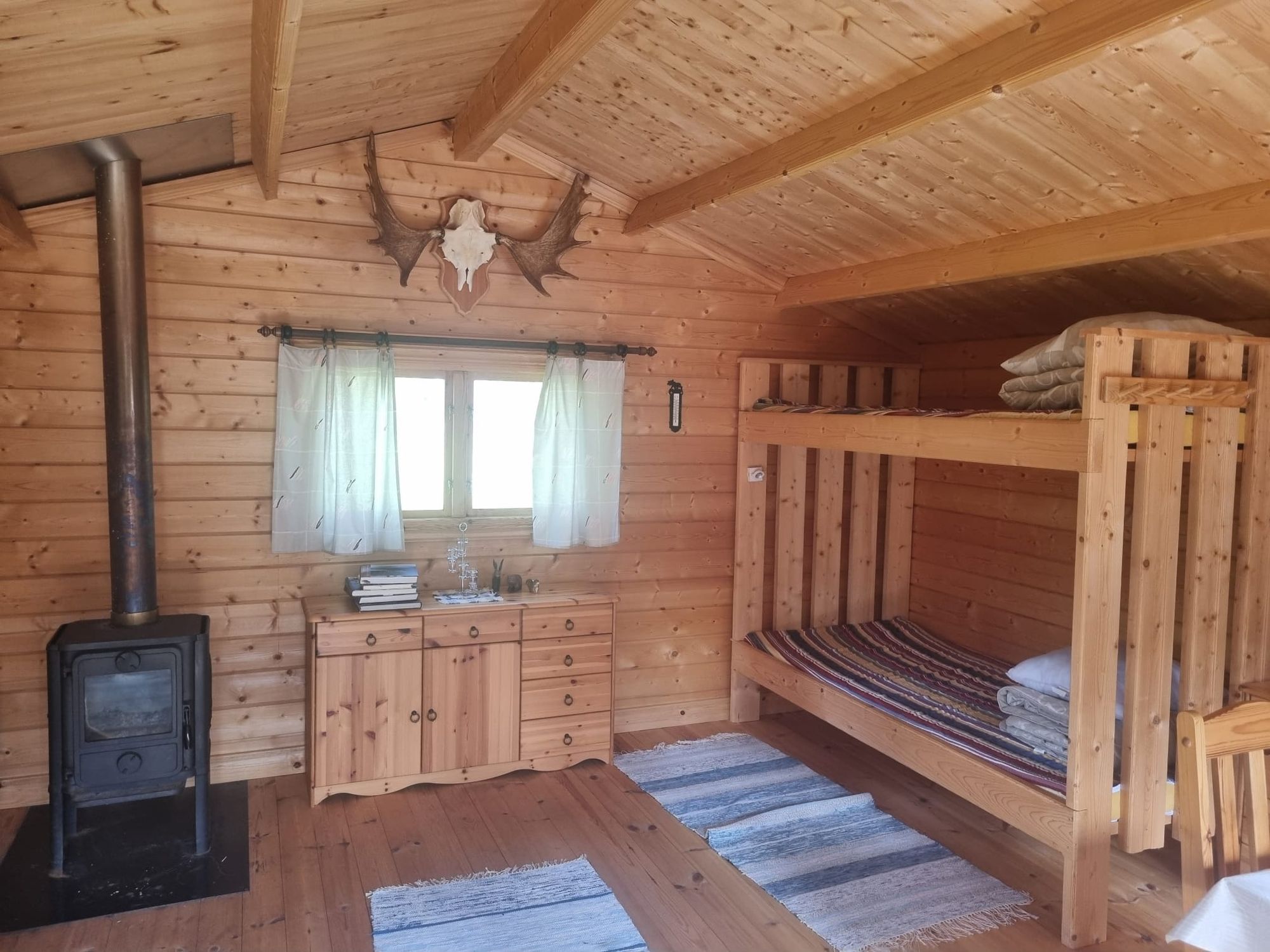 Brandtjäl Forest Cabins - Ingen stad. Bara skogen – bild 6 av 24