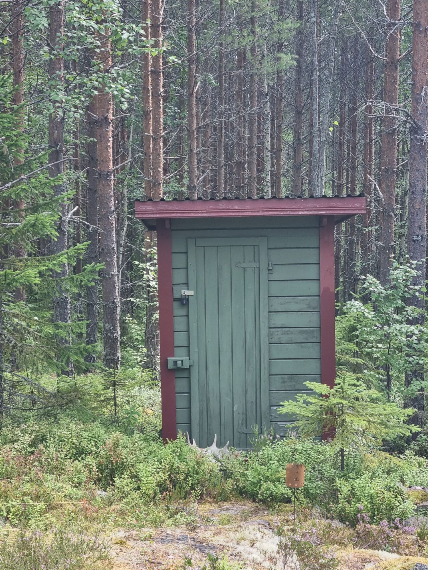 Brandtjäl Forest Cabins - Ingen stad. Bara skogen – bild 19 av 24