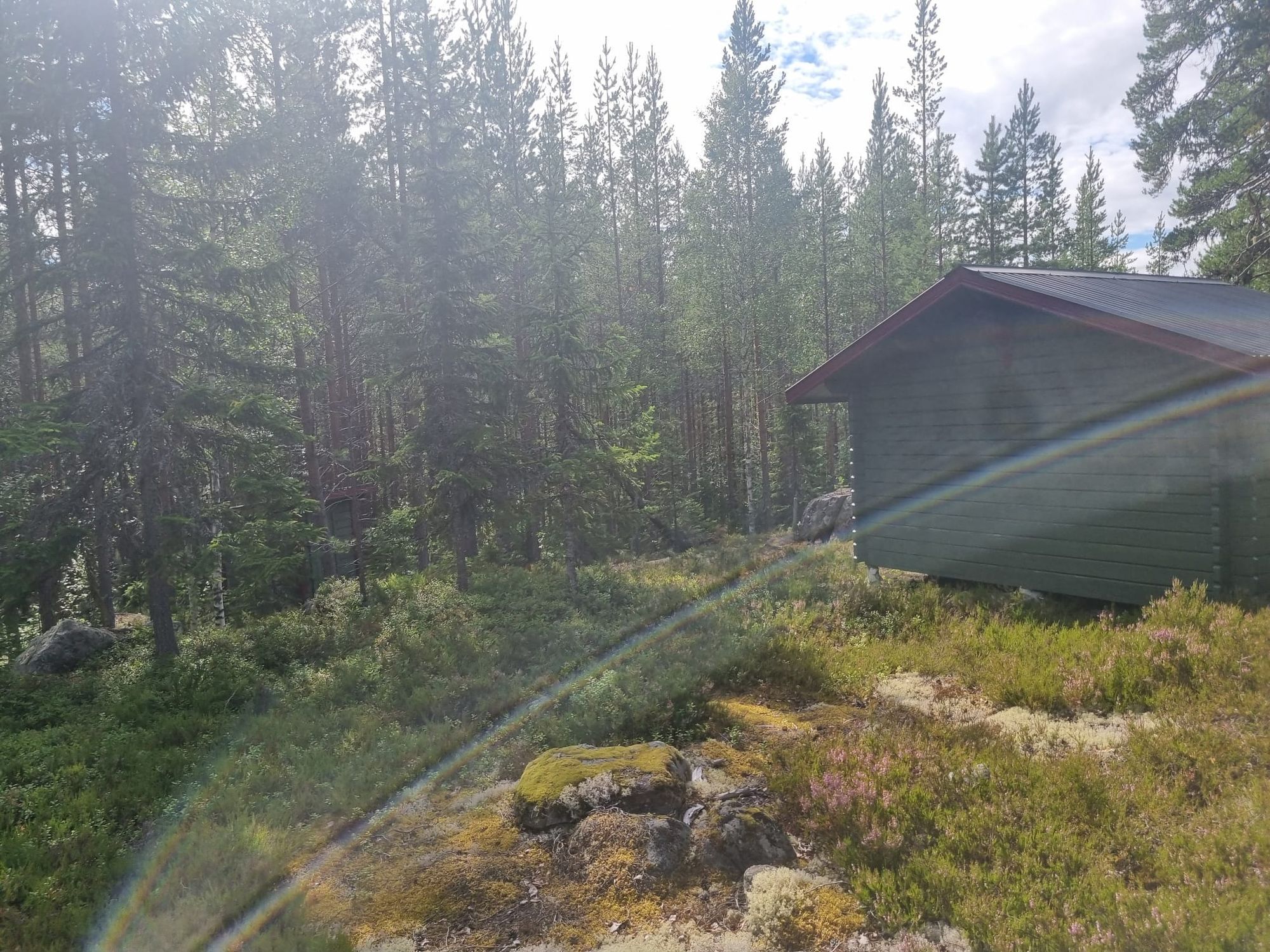 Brandtjäl Forest Cabins - Ingen stad. Bara skogen – bild 24 av 24