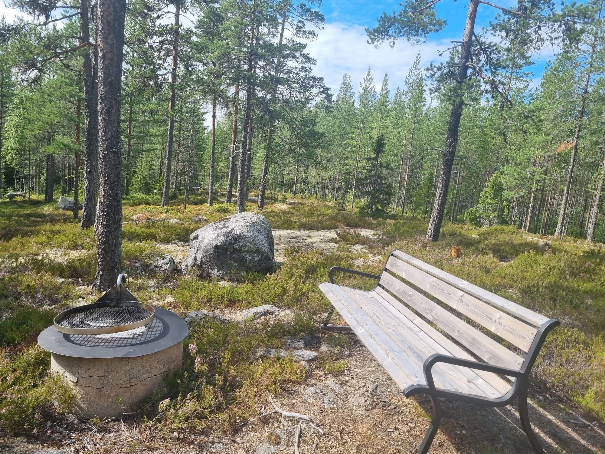Brandtjäl Forest Cabins - Ingen stad. Bara skogen – bild 14 av 24