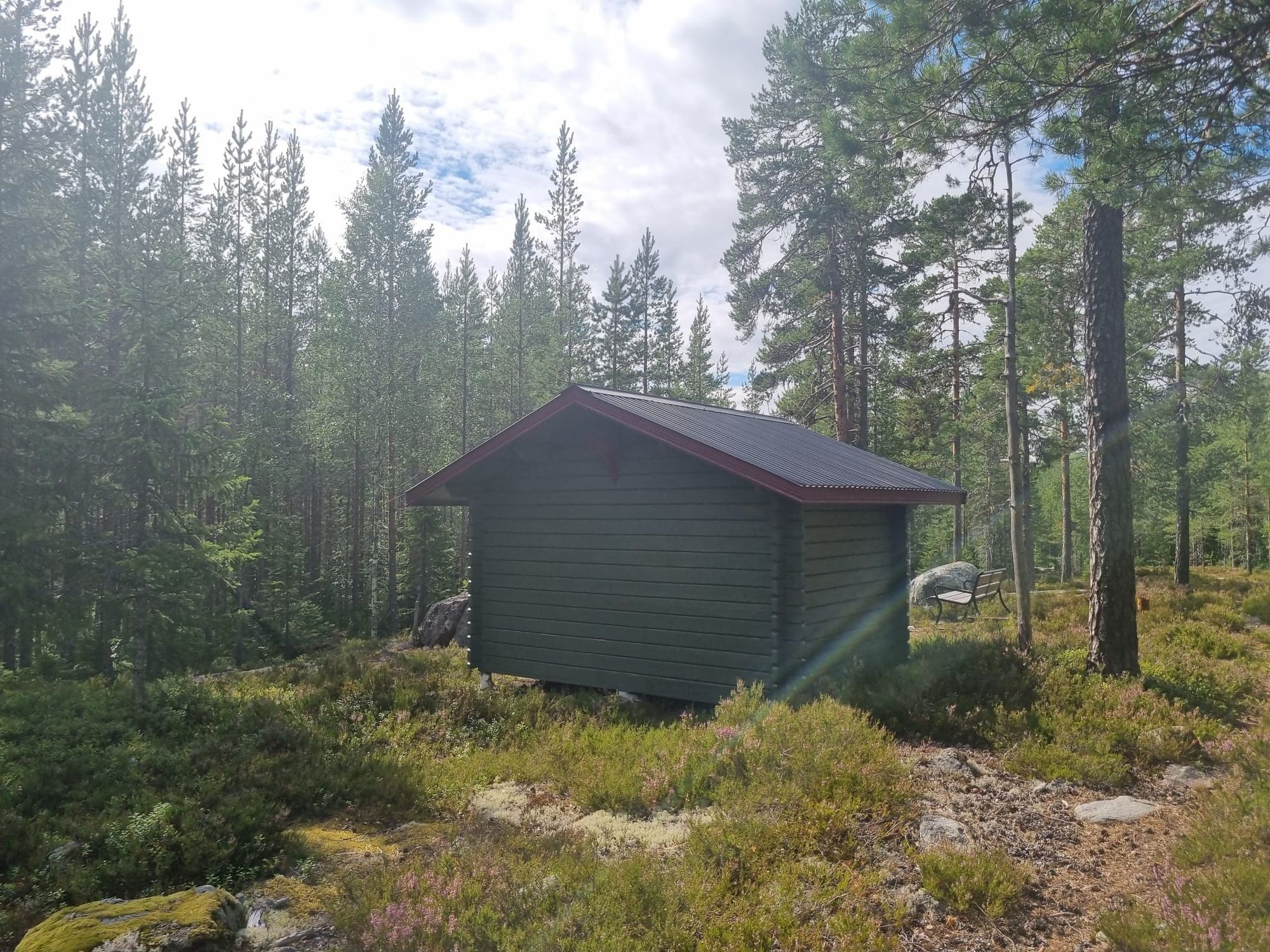Brandtjäl Forest Cabins - Ingen stad. Bara skogen – bild 13 av 24