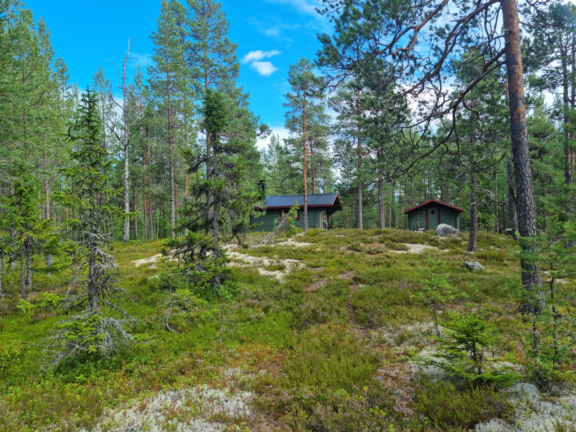 Brandtjäl Forest Cabins - Ingen stad. Bara skogen – bild 2 av 24