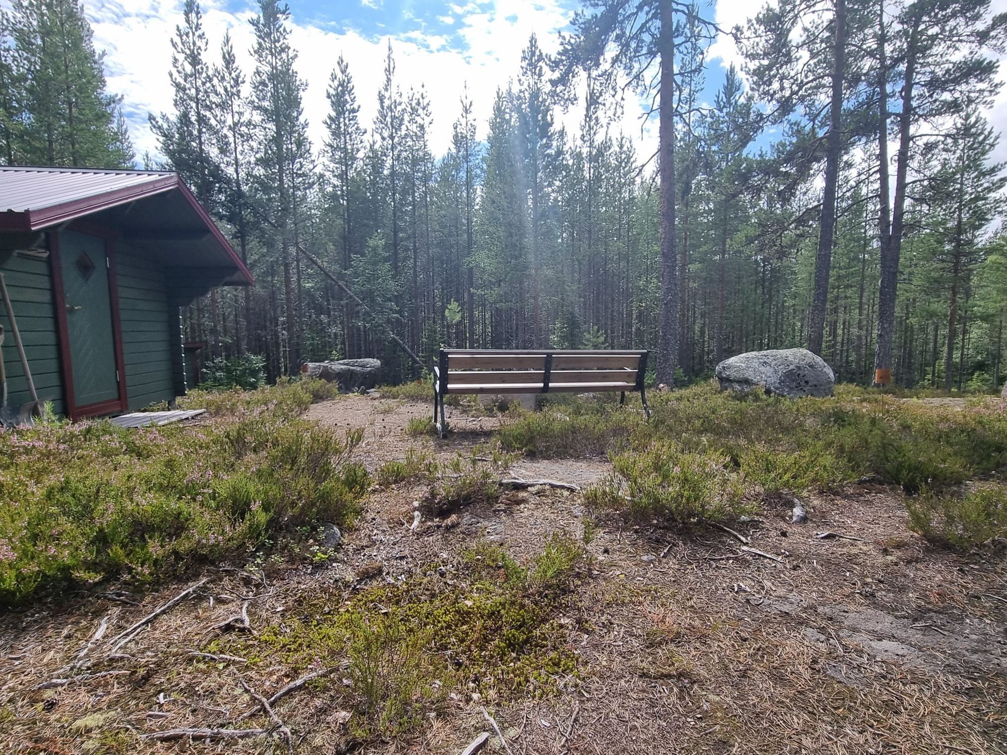 Brandtjäl Forest Cabins - Ingen stad. Bara skogen – bild 21 av 24