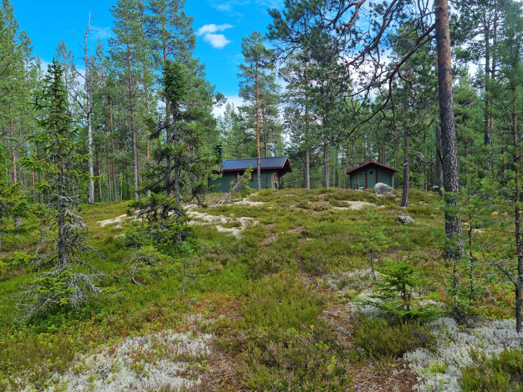 Brandtjäl Forest Cabins - Ingen stad. Bara skogen – bild 23 av 24