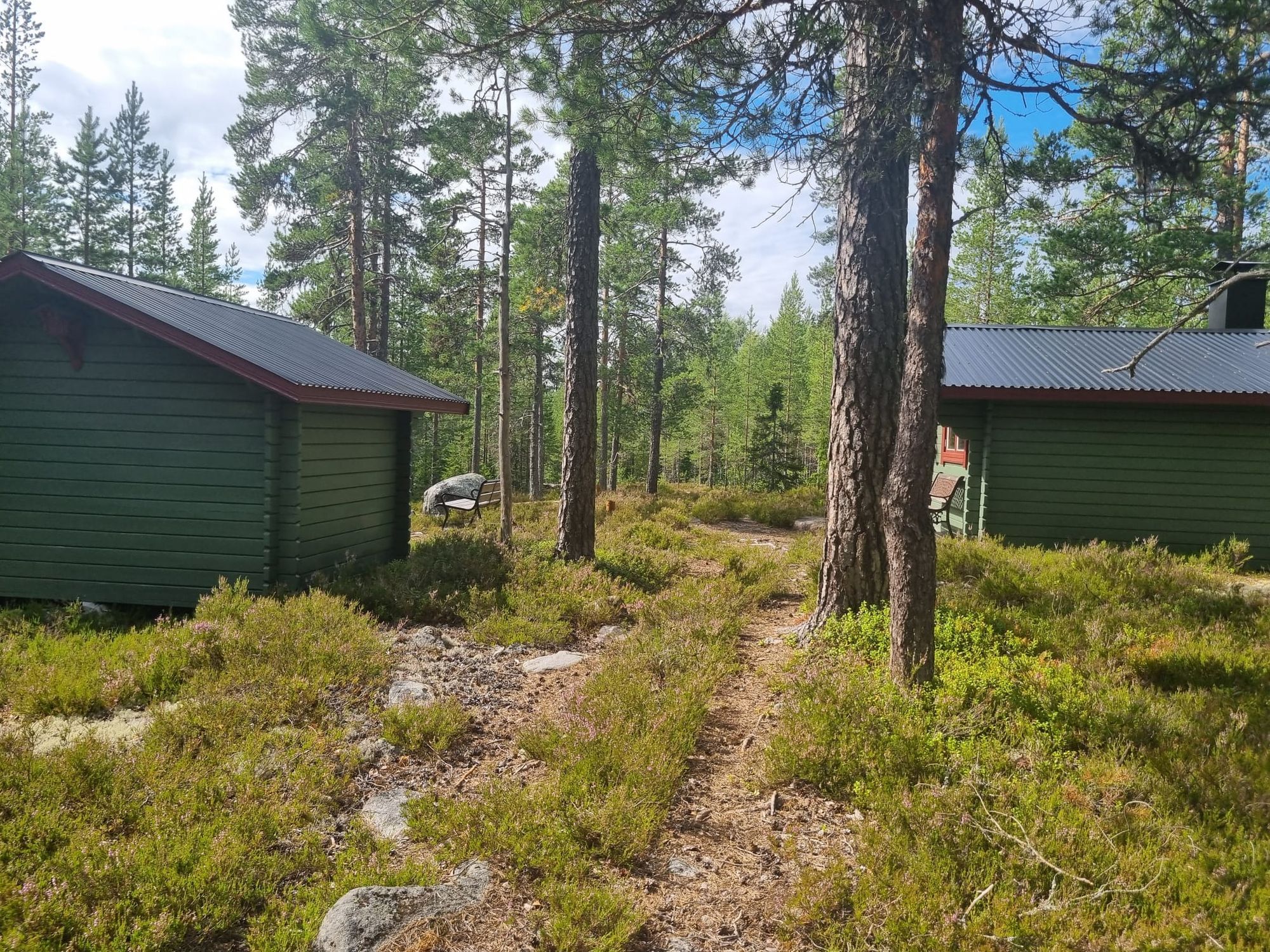 Brandtjäl Forest Cabins - Ingen stad. Bara skogen – bild 15 av 24