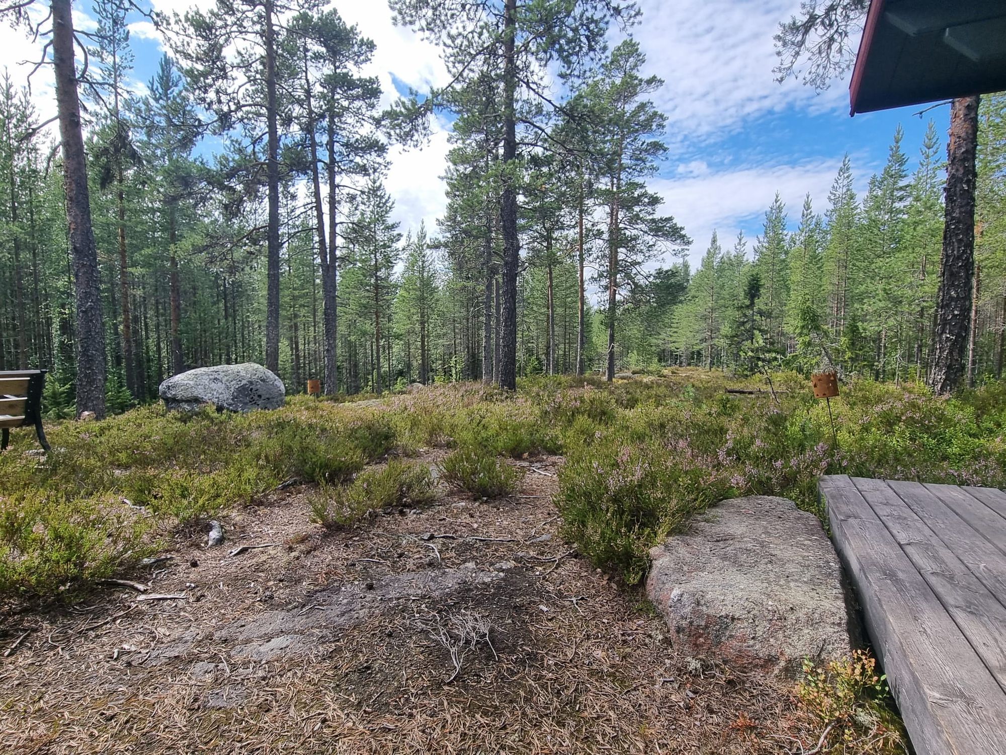 Brandtjäl Forest Cabins - Ingen stad. Bara skogen – bild 22 av 24