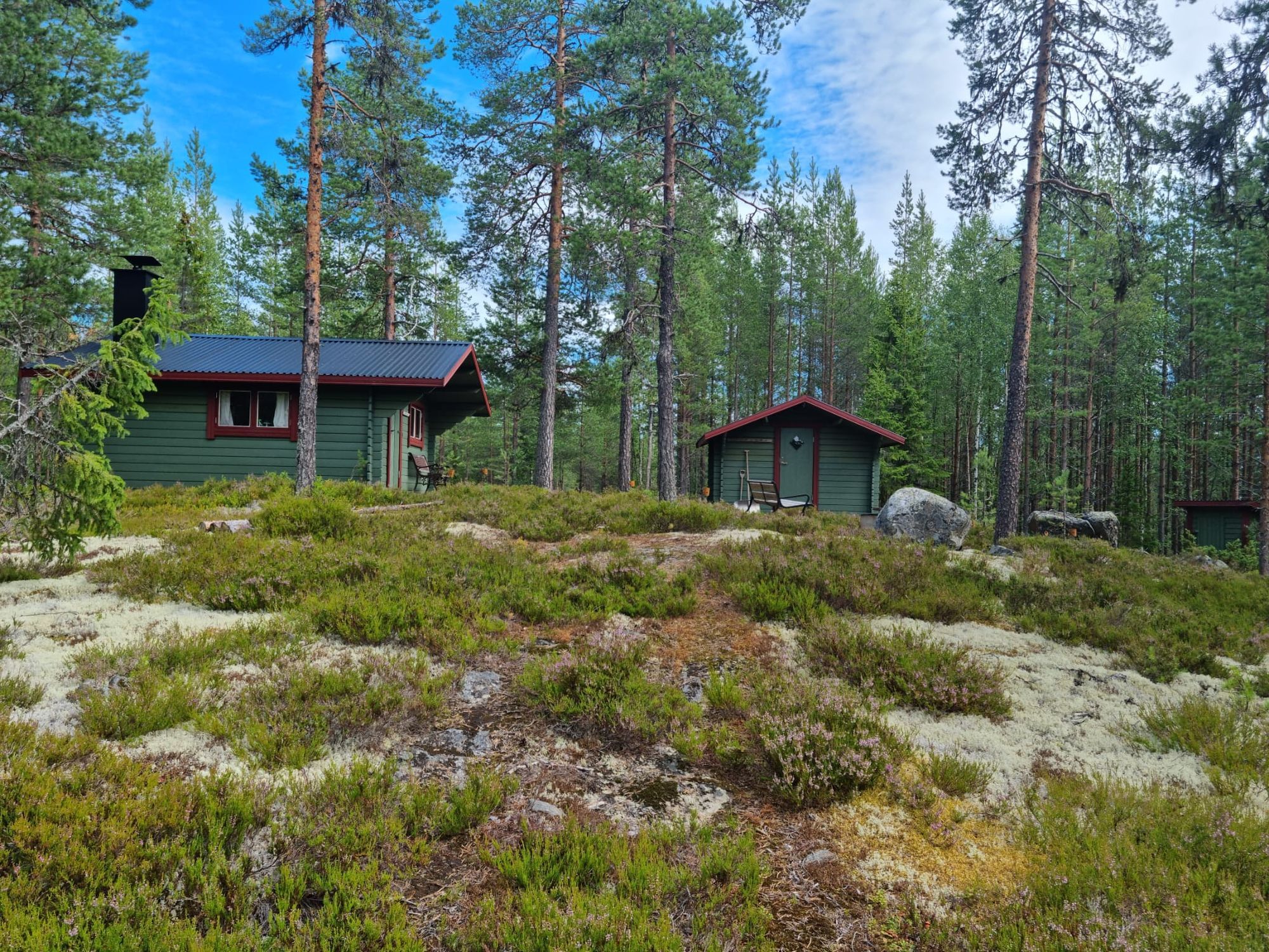 Brandtjäl Forest Cabins - Ingen stad. Bara skogen – bild 3 av 24