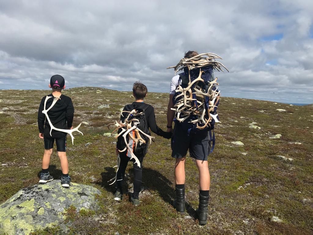 Mysig fjällstuga i Grövelsjön (nu med bastu!) – bild 22 av 24