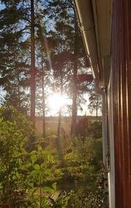 Hus med utsikt över havsvik, vissa veckor o dagar – bild 17 av 23